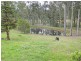 556 East Seaham Road, East Seaham NSW 2324