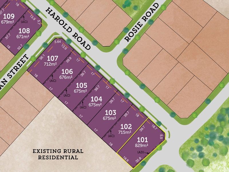 Lot 101 / Rees James Road, Raymond Terrace NSW 2324