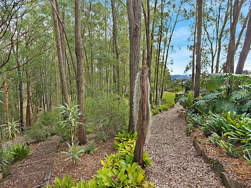 84 Bede Street, Stroud NSW 2425