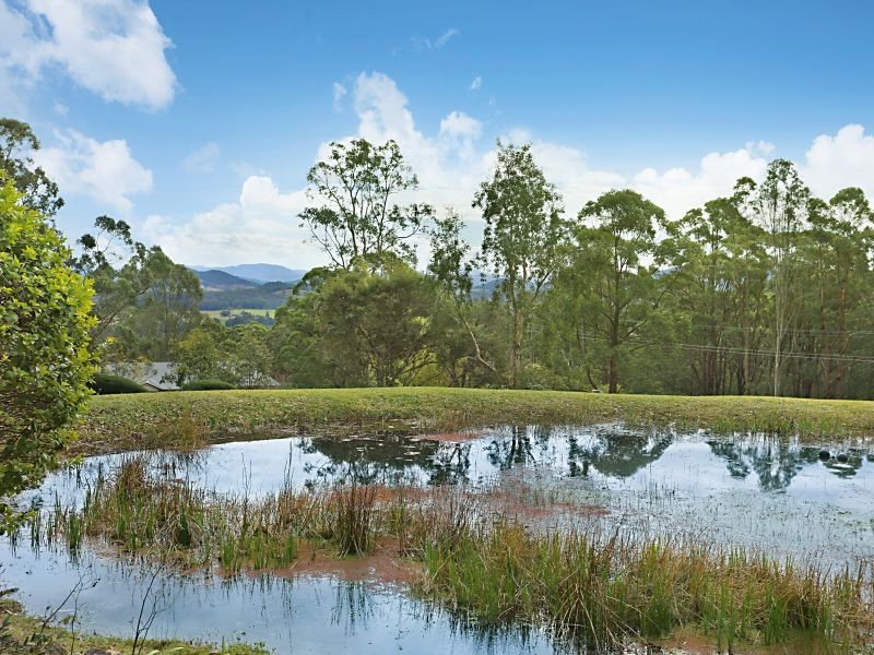 84 Bede Street, Stroud NSW 2425