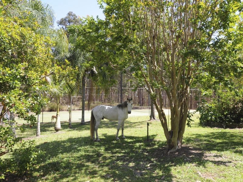 38b Avalon Road, Sheldon QLD 4157