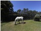 38b Avalon Road, Sheldon QLD 4157