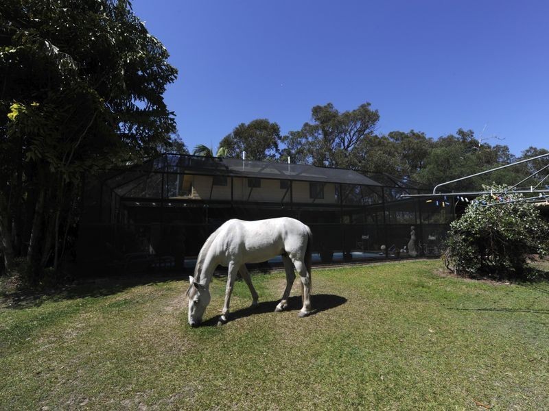38b Avalon Road, Sheldon QLD 4157