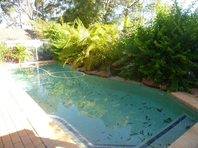 42 Alexandra Cct, Alexandra Hills QLD 4161