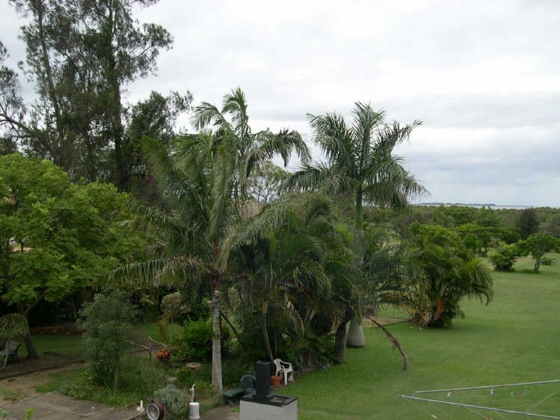 401 Wynnum North Road, Wynnum QLD 4178