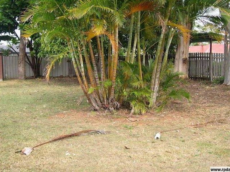 12 Sherrin Ct, Cleveland QLD 4163