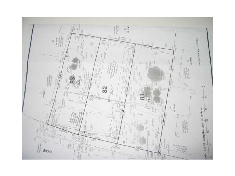 7 Lilly Lane, Birkdale QLD 4159