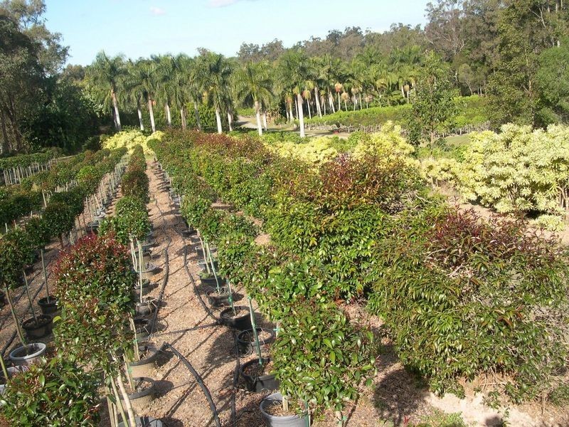 1685 Mt Cotton Rd, Mount Cotton QLD 4165