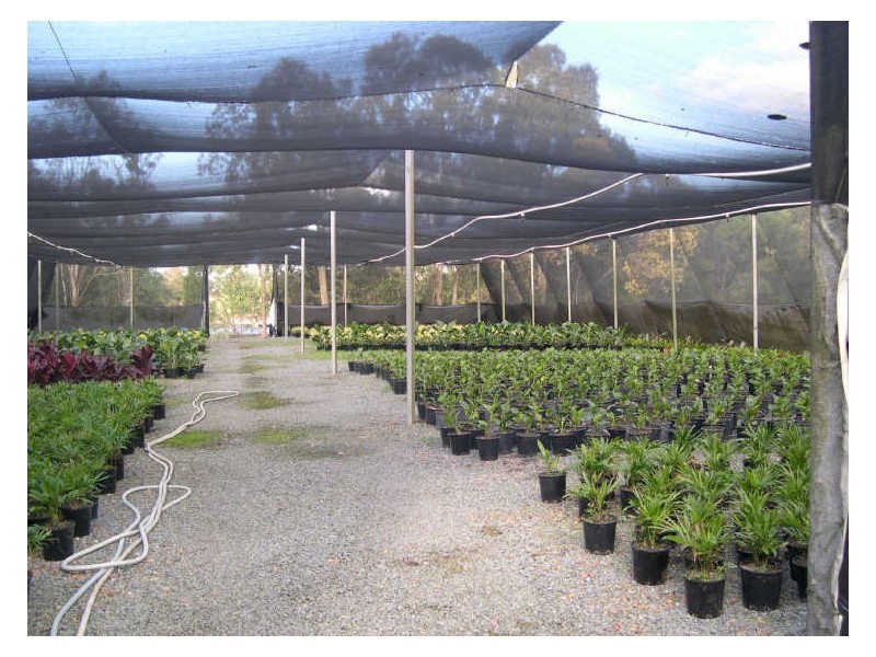 1685 Mt Cotton Rd, Mount Cotton QLD 4165