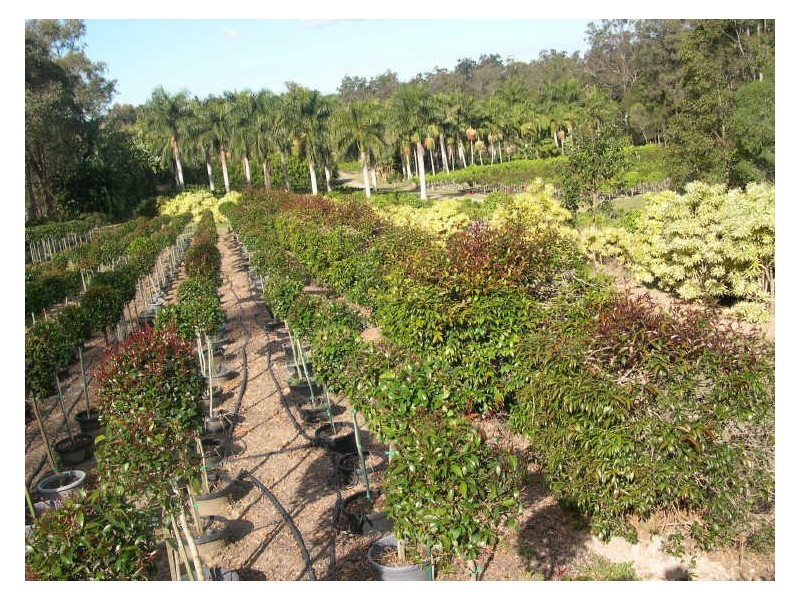 1685 Mt Cotton Rd, Mount Cotton QLD 4165