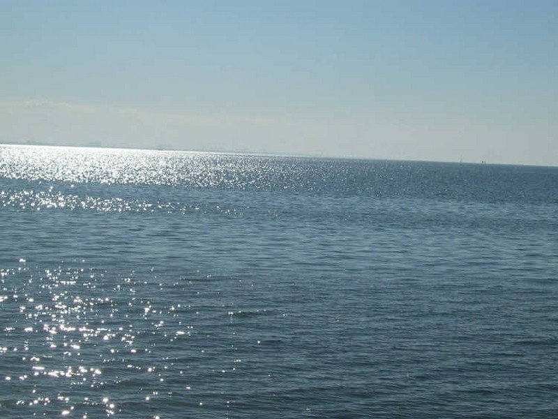 260 Queens Esp (565sqm), Thorneside QLD 4158