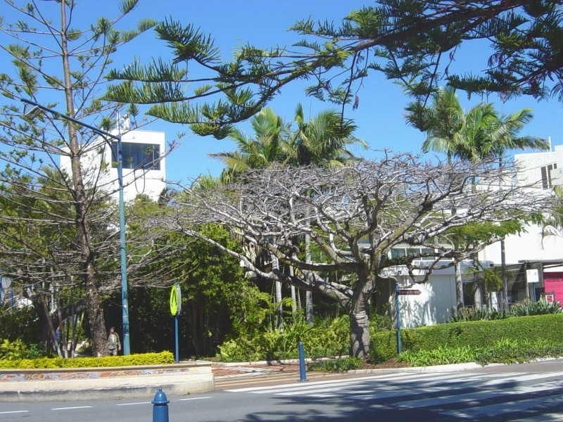 4/221 Middle Street, Cleveland QLD 4163