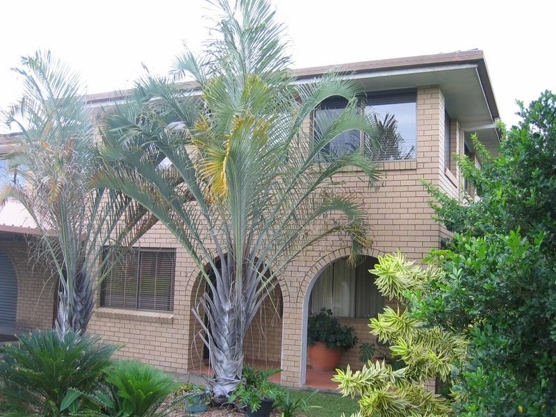 3 Newhaven Street, Alexandra Hills QLD 4161
