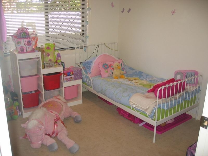 9 Carinya St, Cleveland QLD 4163