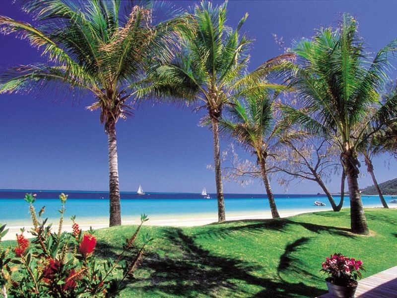 13/ Parkgrove St / Bailey Road, Birkdale QLD 4159