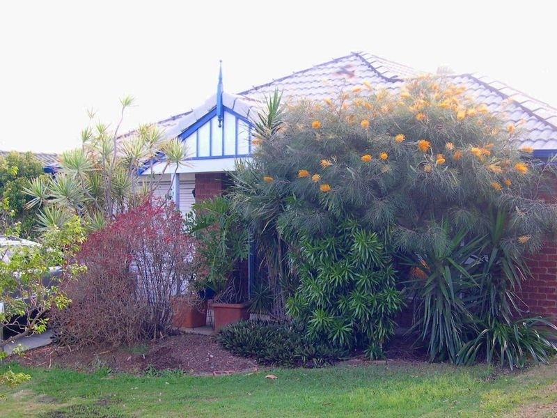 21 Deanbilla Street, Tingalpa QLD 4173