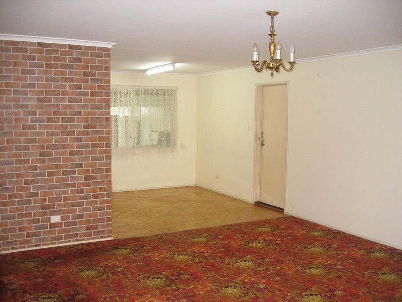 20 Amaryllis Street, Alexandra Hills QLD 4161