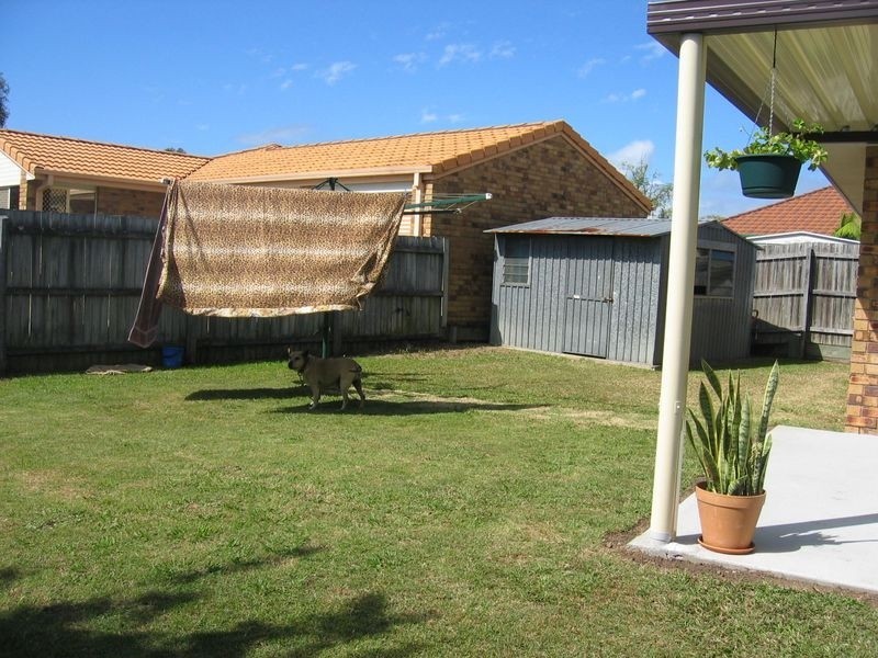 11 Laguna Cct, Tingalpa QLD 4173