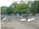 68 Finucane Road, Capalaba QLD 4157