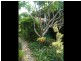 21 Celandine Street, Shailer Park QLD 4128