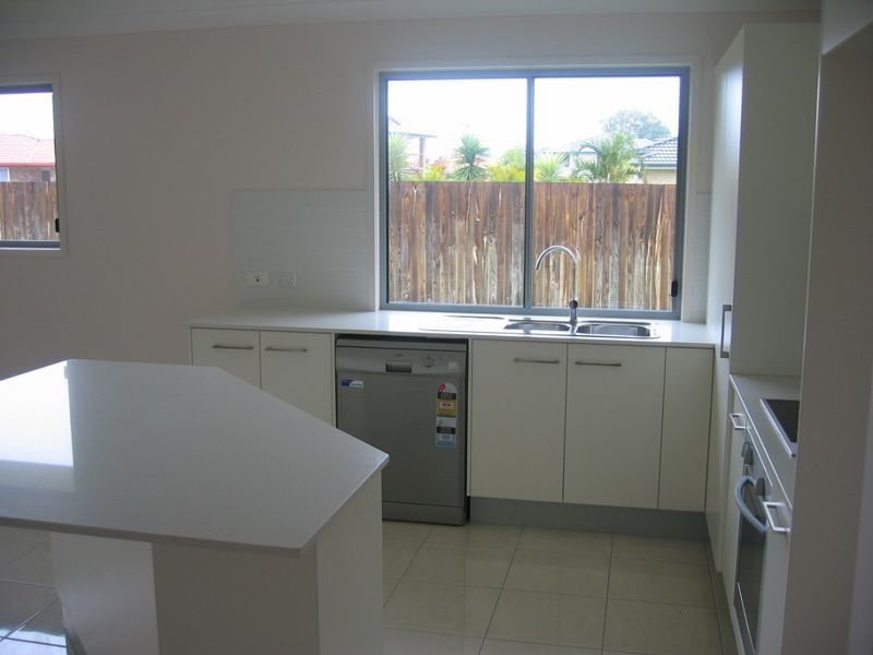 19 Pandanus Place, Tingalpa QLD 4173