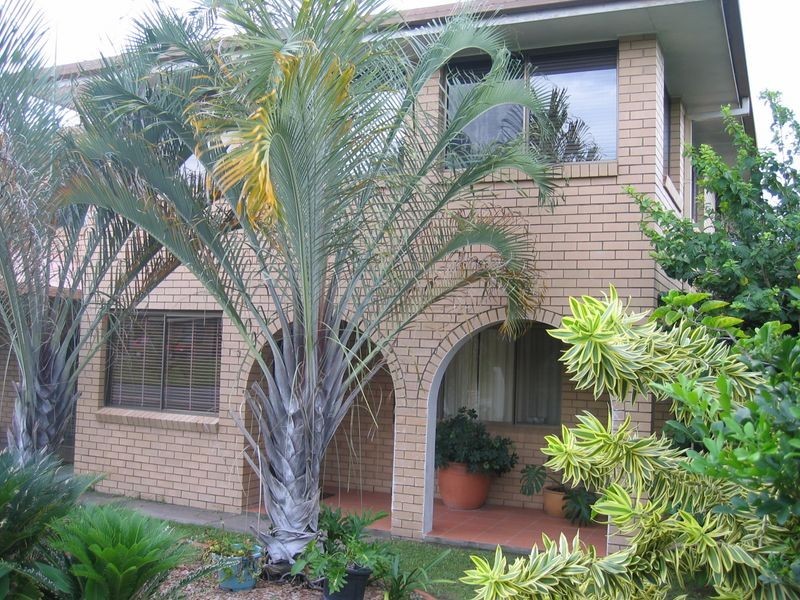 3 Newhaven Street, Alexandra Hills QLD 4161