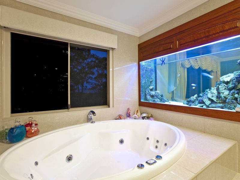 37 Omega Avenue, Cleveland QLD 4163