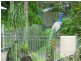 Chandler QLD 4155