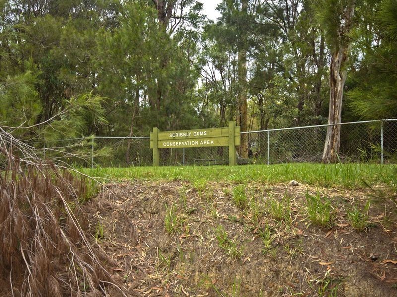 3 Kew Court, Alexandra Hills QLD 4161