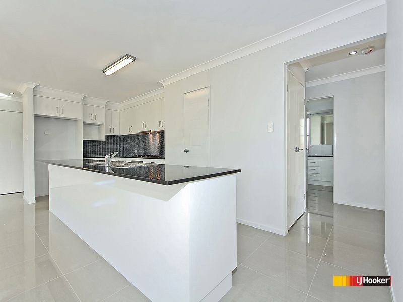 41 Parkgrove Street, Birkdale QLD 4159