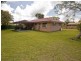 41 Amaryllis Street, Alexandra Hills QLD 4161