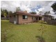 41 Amaryllis Street, Alexandra Hills QLD 4161