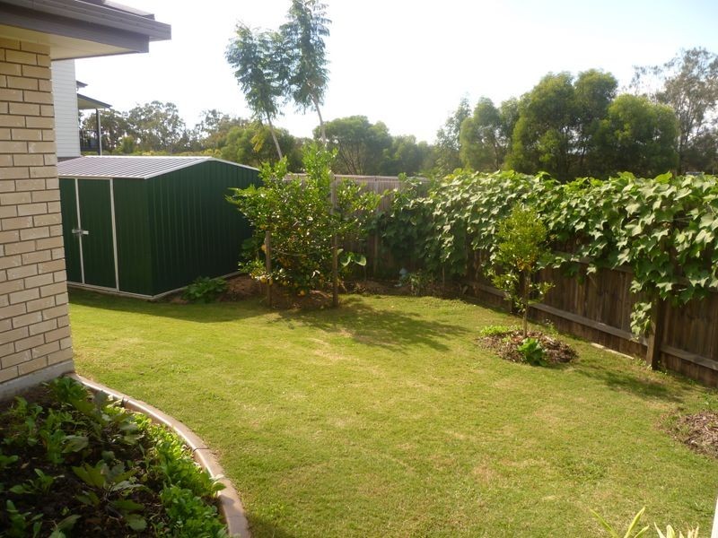 1 Delancey Street, Cleveland QLD 4163