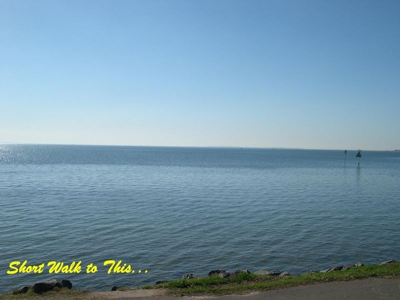 Lot 165/55 Cavell Street, Birkdale QLD 4159