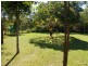 318 Finucane Road, Alexandra Hills QLD 4161