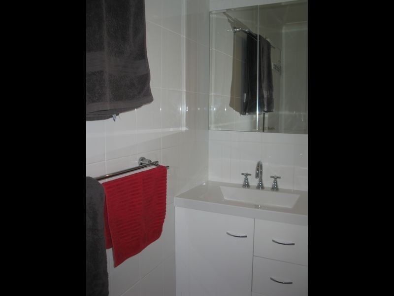 41 Amaryllis Street, Alexandra Hills QLD 4161