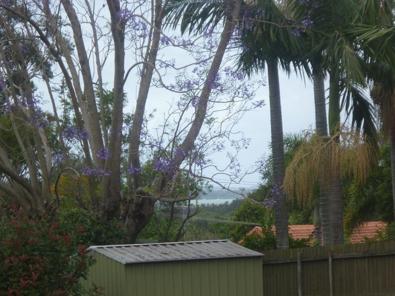 2 Jason Street, Cleveland QLD 4163