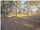 46 Warriewood Street, Chandler QLD 4155