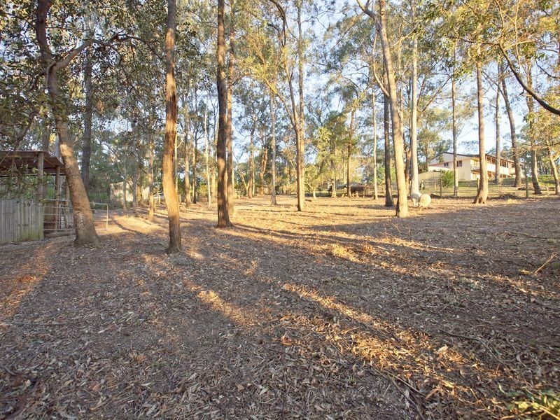 46 Warriewood Street, Chandler QLD 4155