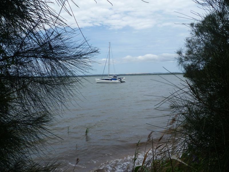 5 Sandra Court, Redland Bay QLD 4165