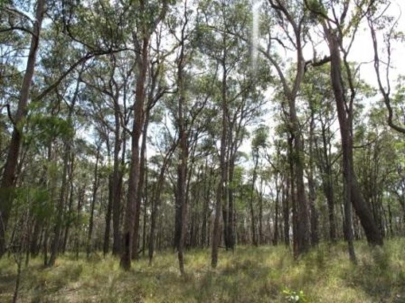 821 West Mount Cotton Road, Sheldon QLD 4157