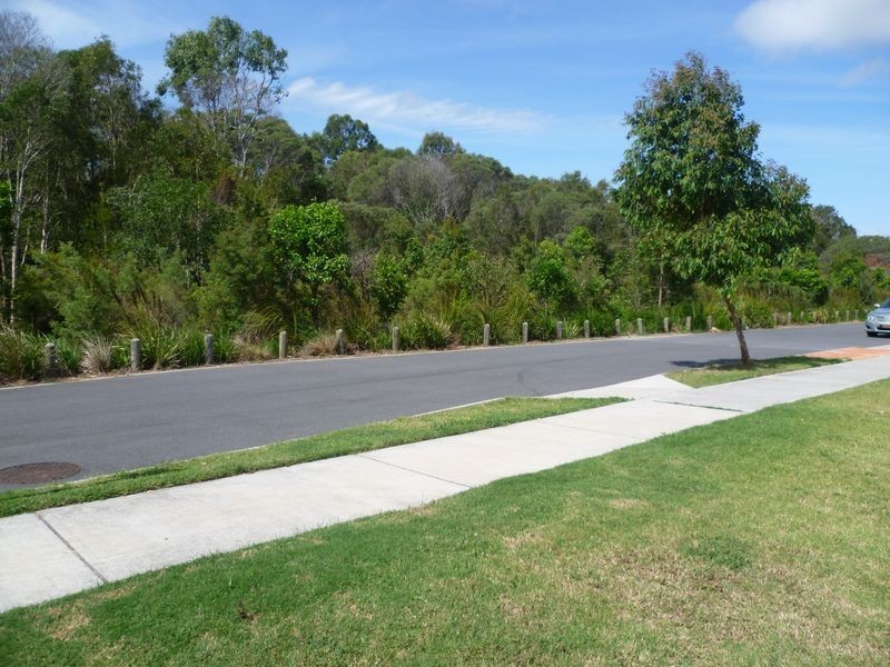 19 Parkgrove Street, Birkdale QLD 4159