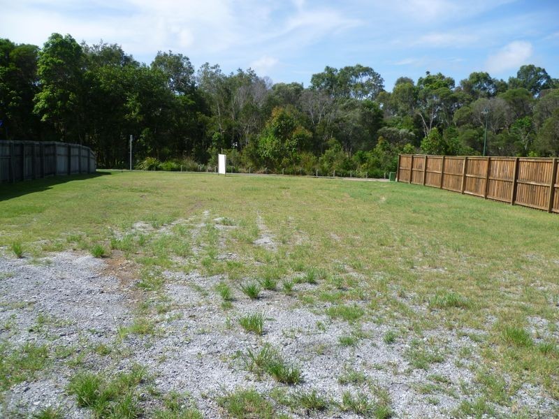 19 Parkgrove Street, Birkdale QLD 4159