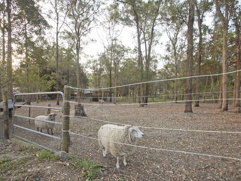 46 Warriewood Street, Chandler QLD 4155