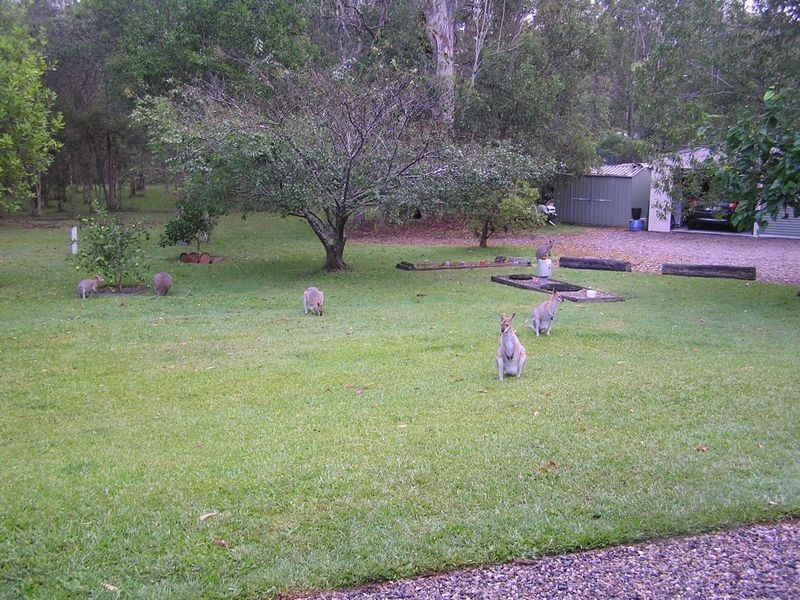 81 Lakeside Drive, Carbrook QLD 4130