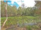 81 Lakeside Drive, Carbrook QLD 4130