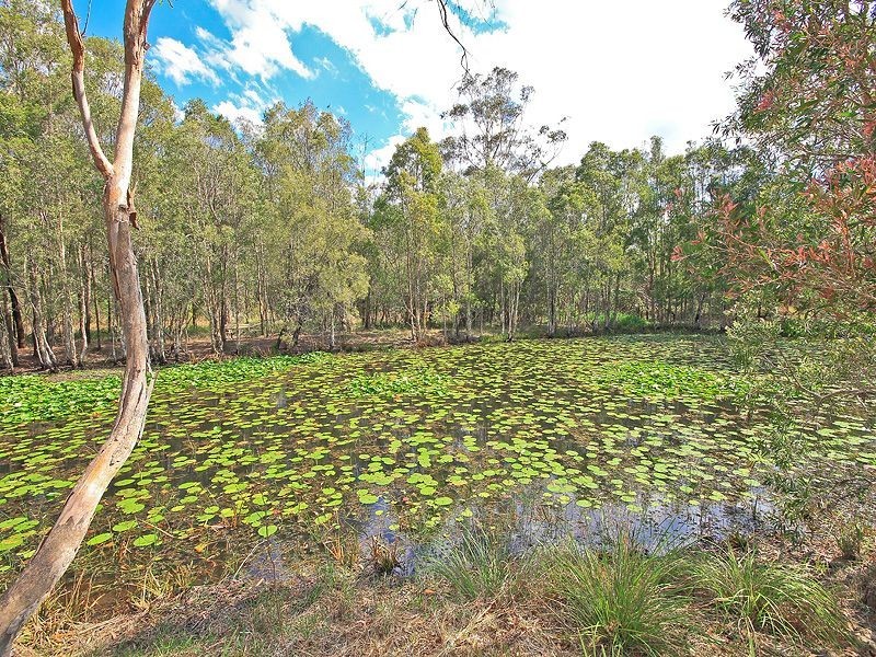 81 Lakeside Drive, Carbrook QLD 4130
