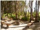 10 Old Ballow Street, Amity Point QLD 4183
