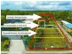 117 Boundary Road, Thornlands QLD 4164