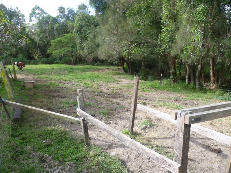 382 Woodlands Drive, Thornlands QLD 4164